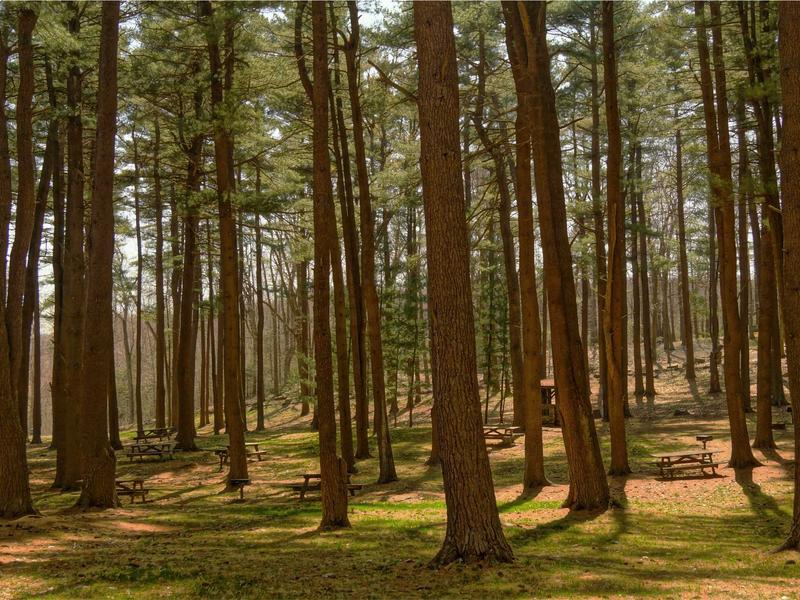 sudoku cross platform